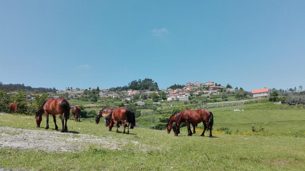 Pensjonat Casas Da Li Arcos de Valdevez Zewnętrze zdjęcie
